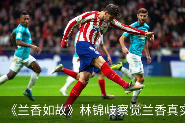 《兰香如故》林锦岐察觉兰香真实身份，林锦岚却命不久矣