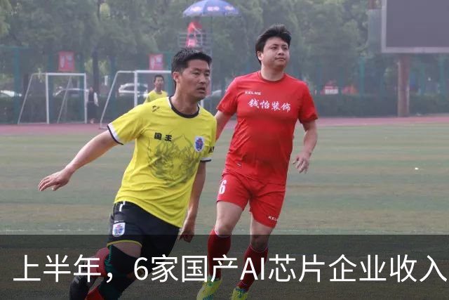 上半年，6家国产AI芯片企业收入124亿，有5家在亏钱