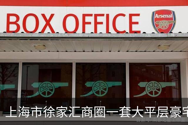 上海市徐家汇商圈一套大平层豪宅被拍卖，5341万元成交