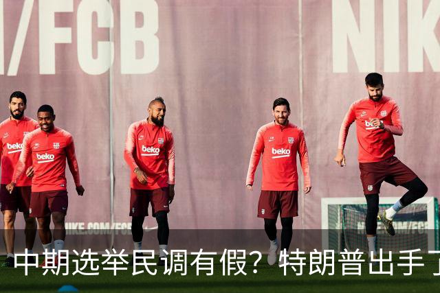 中期选举民调有假？特朗普出手了