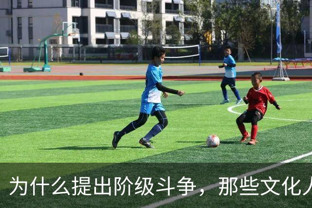 为什么提出阶级斗争，那些文化人马上进行反对，这个美国人看的准