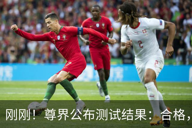 刚刚！尊界公布测试结果：合格，即便3000N！但网友似乎依旧不满意