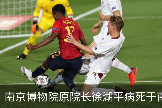 南京博物院原院长徐湖平病死于南京一家监狱医院