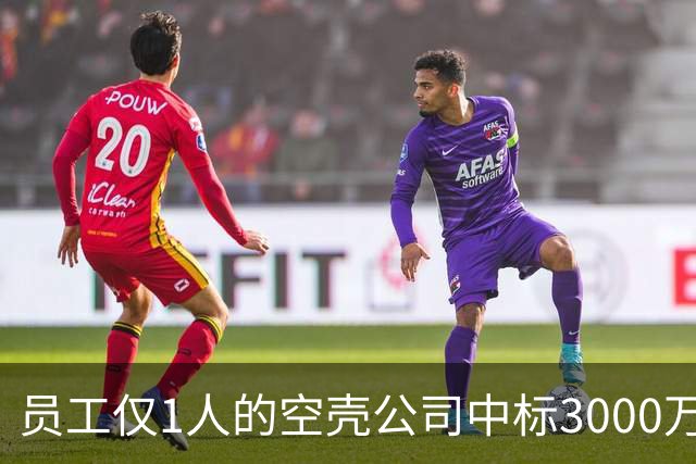 员工仅1人的空壳公司中标3000万元项目，被曝陪标是凑的、标书是代写的、中标是内定的……为何程序严谨，而结果荒诞