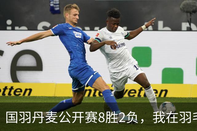 国羽丹麦公开赛8胜2负，我在羽毛球基地门口开了13年小卖部