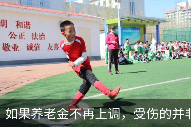 如果养老金不再上调，受伤的并非退休老人，而是2亿灵活就业人群
