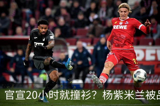 官宣20小时就撞衫？杨紫米兰被品牌轻视，视后奖杯狠狠打脸