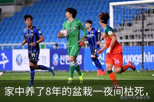 家中养了8年的盆栽一夜间枯死，询问道长才知道，这是为我挡了灾