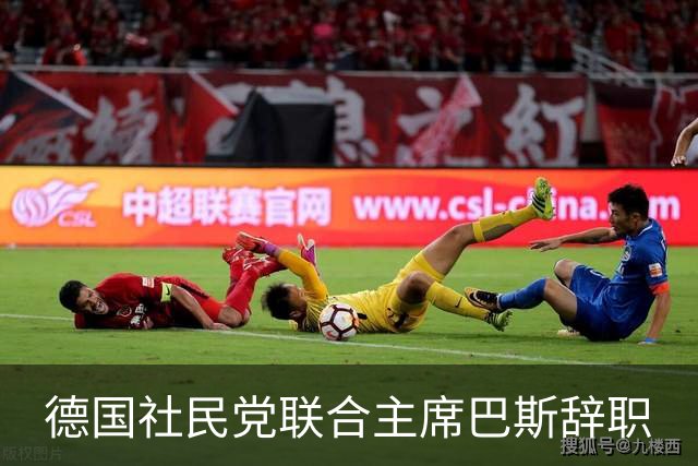 德国社民党联合主席巴斯辞职