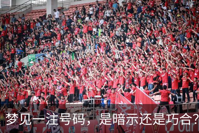 梦见一注号码，是暗示还是巧合？我下注8倍，背后的彩市人性观察