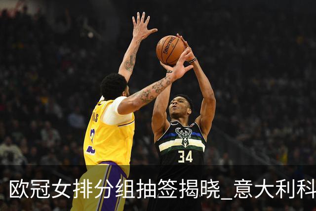 欧冠女排分组抽签揭晓 意大利科内利亚诺分在A组