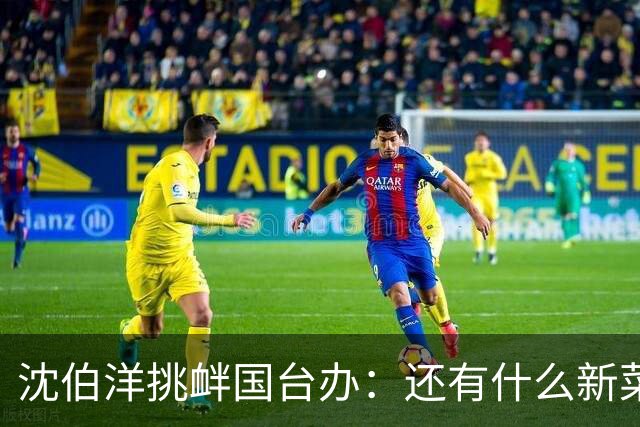 沈伯洋挑衅国台办：还有什么新菜？