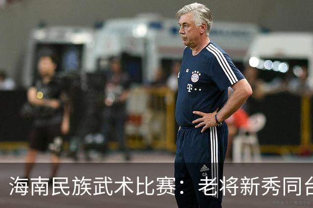 海南民族武术比赛：老将新秀同台竞技，传统内蕴薪火相传