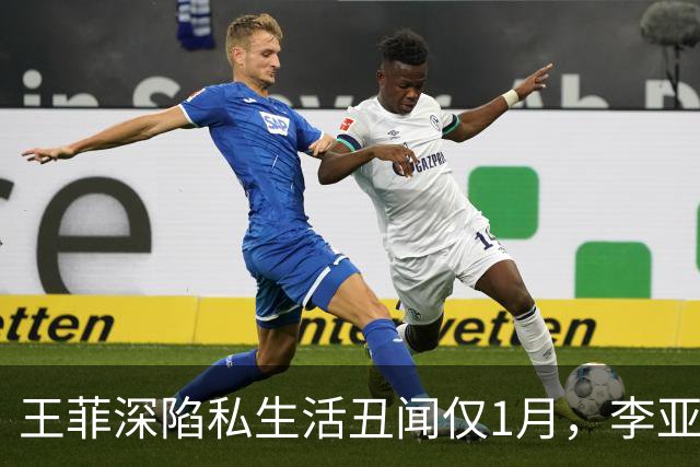 王菲深陷私生活丑闻仅1月，李亚鹏曝婚内过往，和谢霆锋处境一样