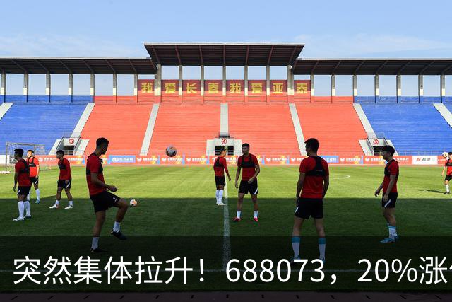 突然集体拉升！688073，20%涨停
