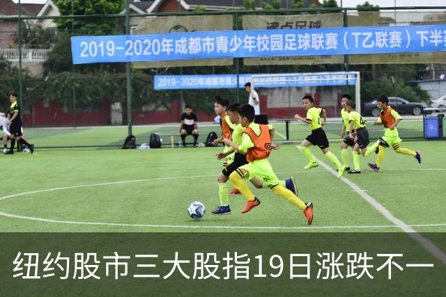 纽约股市三大股指19日涨跌不一