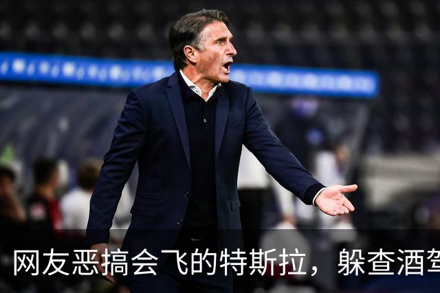 网友恶搞会飞的特斯拉，躲查酒驾、冲收费站、飞河流，安全是关键