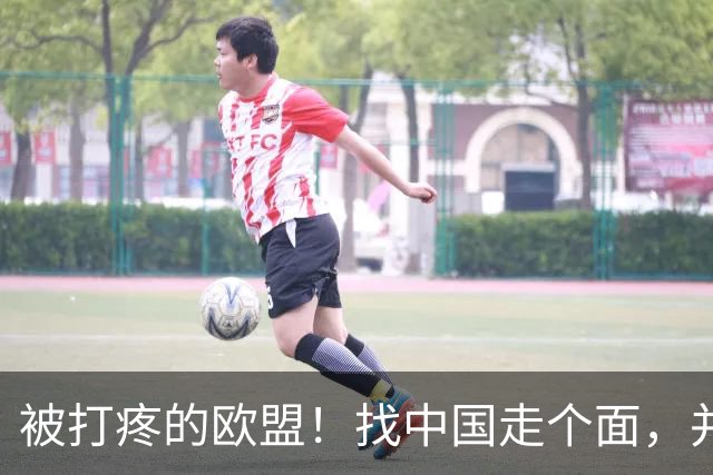 被打疼的欧盟！找中国走个面，并承认：中方已摸清他们所有软肋