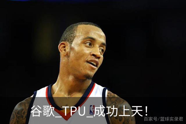 谷歌 TPU 成功上天！