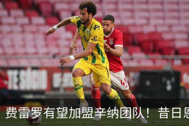 费雷罗有望加盟辛纳团队！昔日恩师或将对阵旧主阿尔卡拉斯