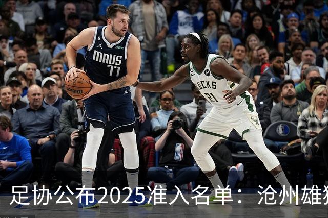 足协公布2025准入名单：沧州雄狮、广州队无缘