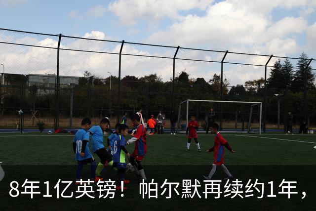 8年1亿英镑！帕尔默再续约1年，切尔西核心，为何周薪只有13万英镑