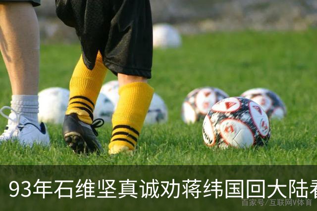 93年石维坚真诚劝蒋纬国回大陆看看，却遭拒绝：他说一旦回去就再也不会回来！