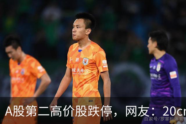 A股第二高价股跌停，网友：20cm跌停，仓重的人今天连饭都吃不下