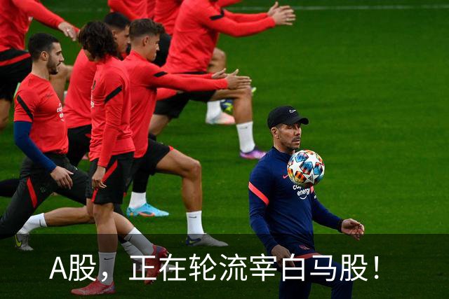 A股，正在轮流宰白马股！